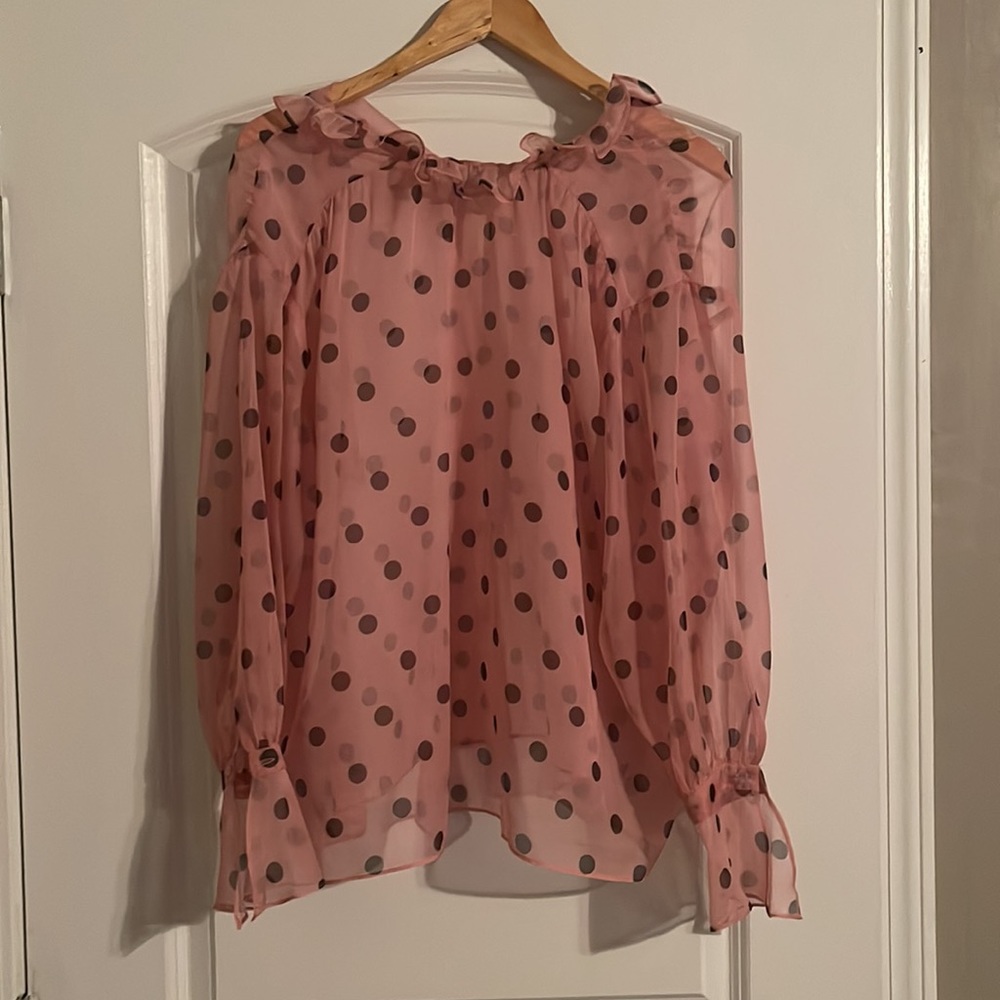 Zara Sheer polka dot top